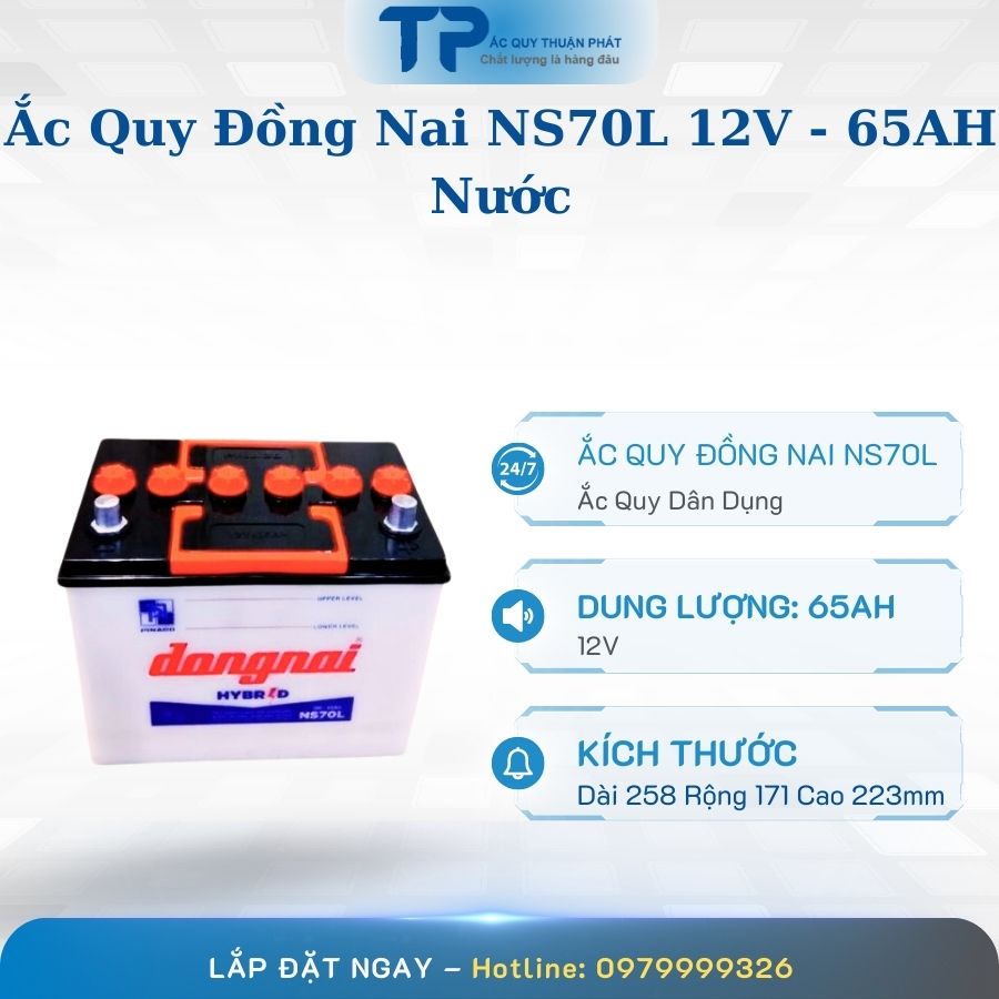 Ắc quy Đồng Nai NS70L 12V - 65AH Nước