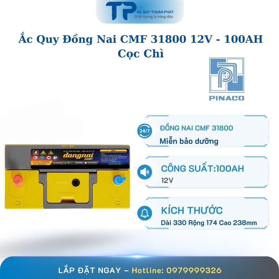 Ắc quy Đồng Nai CMF 31800 12V - 100AH cọc chì