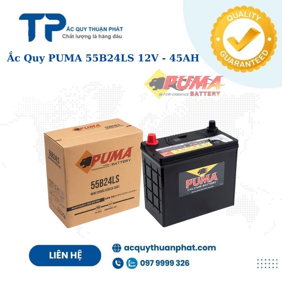 Ắc quy PUMA 55B24LS 12V - 45AH
