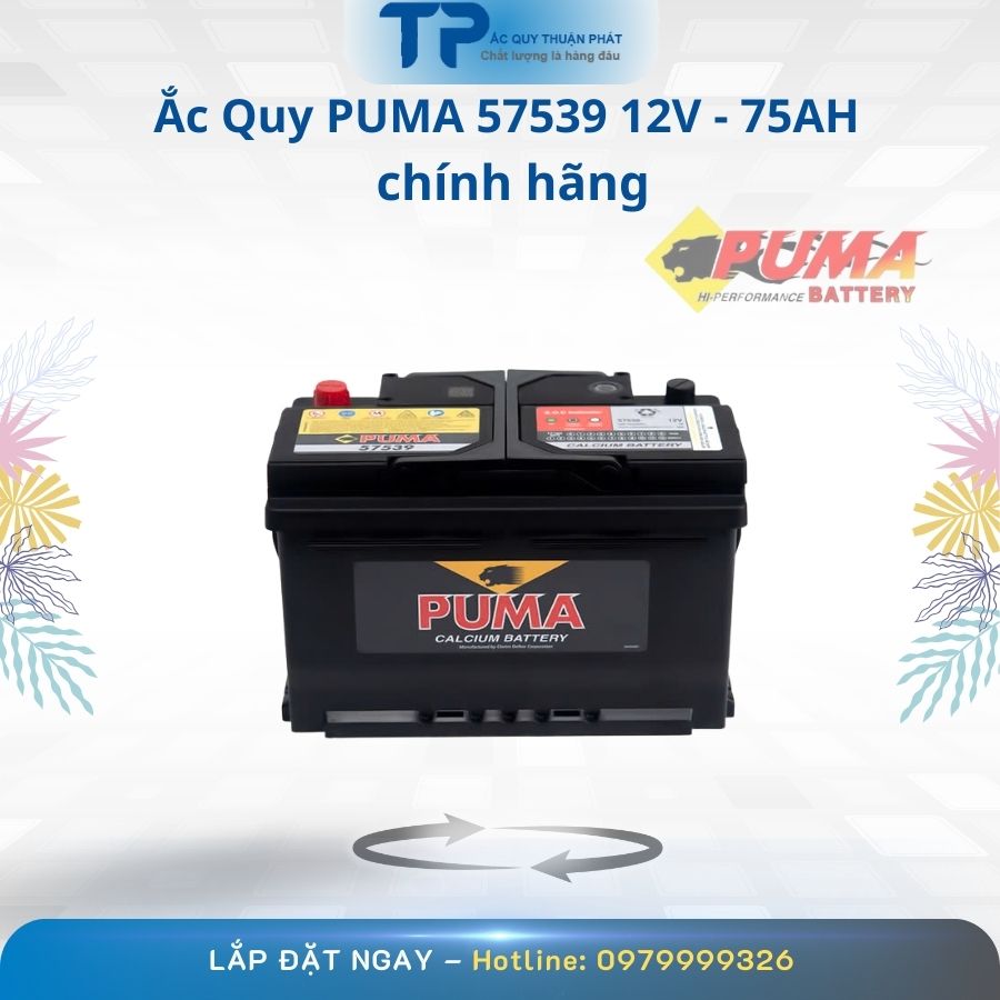 Ắc Quy PUMA 57539 12V - 75AH chính hãng