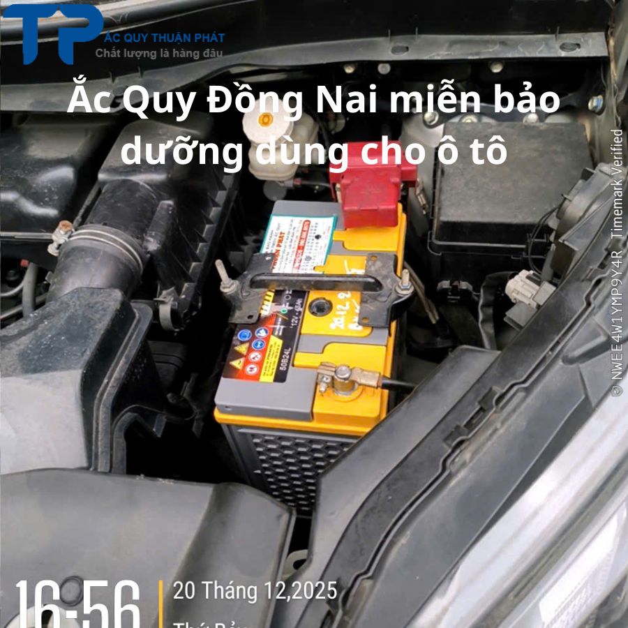Ắc Quy Đồng Nai miễn bảo dưỡng dùng cho ô tô
