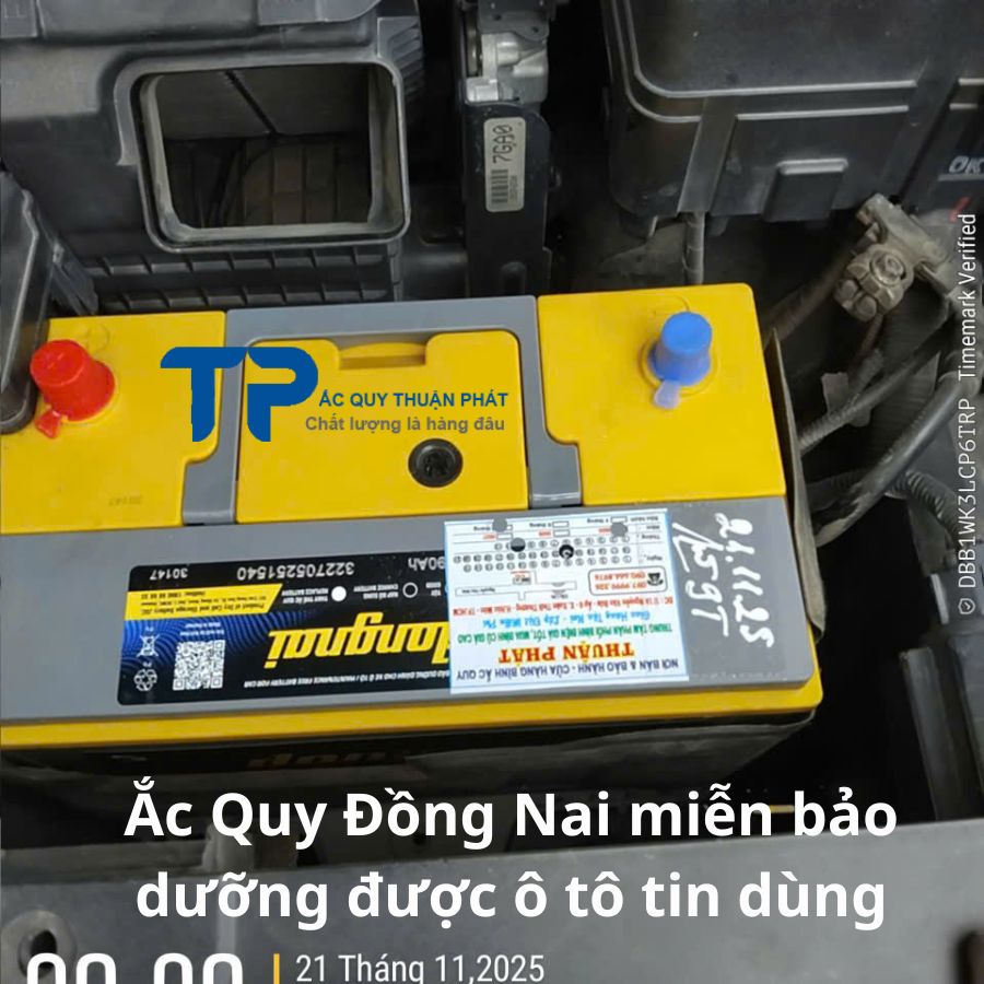 Ắc Quy Đồng Nai miễn bảo dưỡng được ô tô tin dùng