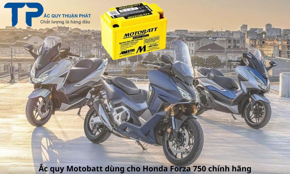 Ắc quy Motobatt dùng cho Honda Forza 750 chính hãng
