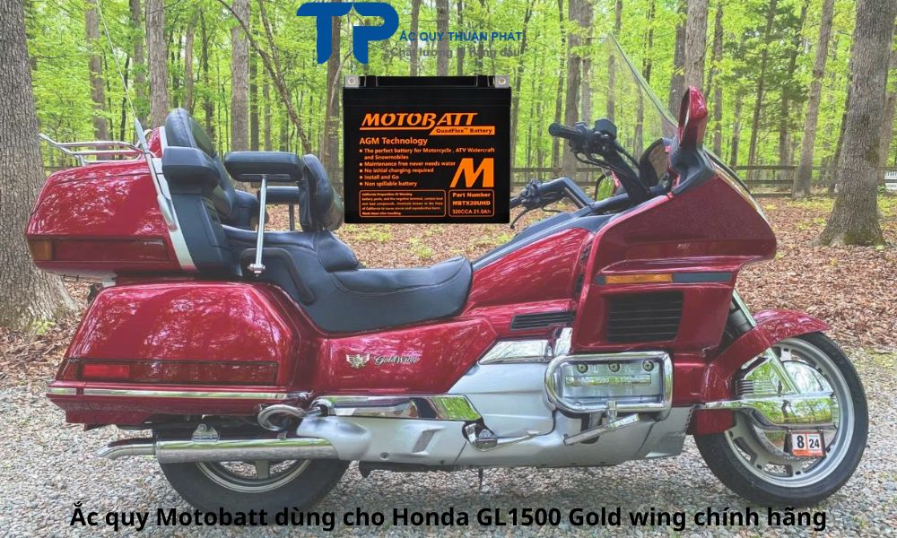 Ắc quy Motobatt dùng cho Honda GL1500 Gold wing chính hãng