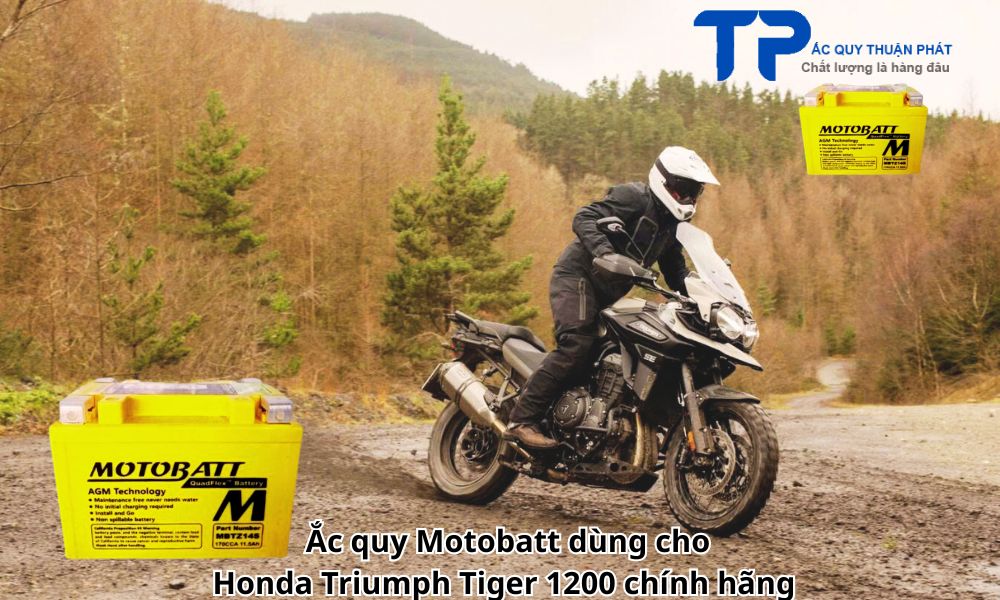 Ắc quy Motobatt dùng cho Honda Triumph Tiger 1200 chính hãng