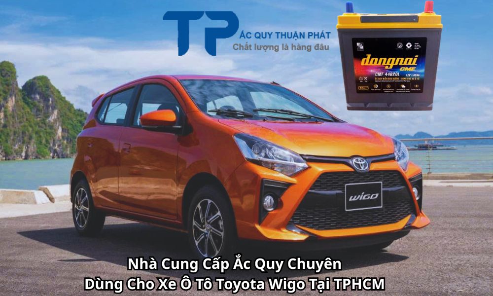Nhà Cung Cấp Ắc Quy Chuyên Dùng Cho Xe Ô Tô Toyota Wigo Tại TPHCM