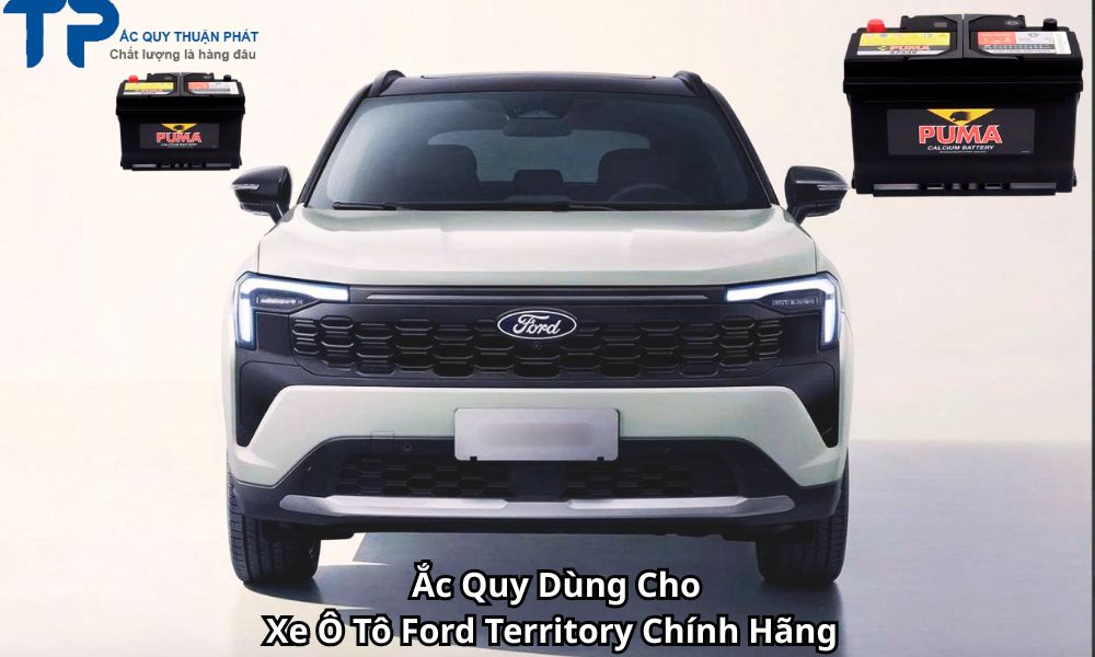Ắc Quy Dùng Cho Xe Ô Tô Ford Territory Chính Hãng