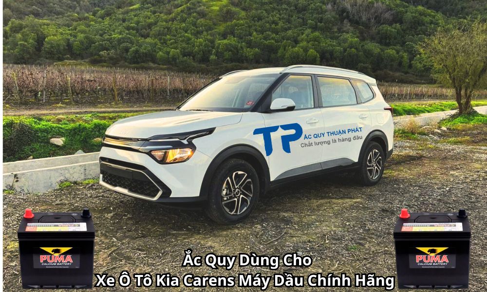 Ắc Quy Dùng Cho Xe Ô Tô Kia Carens Máy Dầu Chính Hãng
