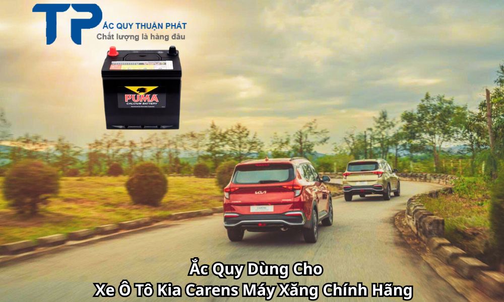 Ắc Quy Dùng Cho Xe Ô Tô Kia Carens Máy Xăng Chính Hãng