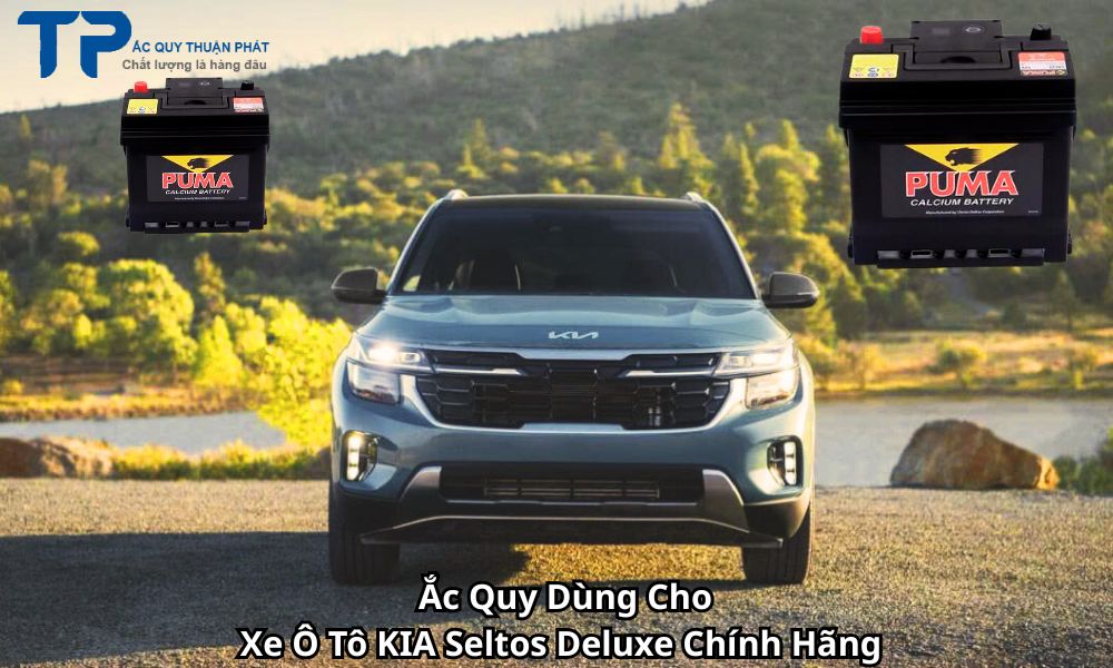 Ắc Quy Dùng Cho Xe Ô Tô KIA Seltos Deluxe Chính Hãng