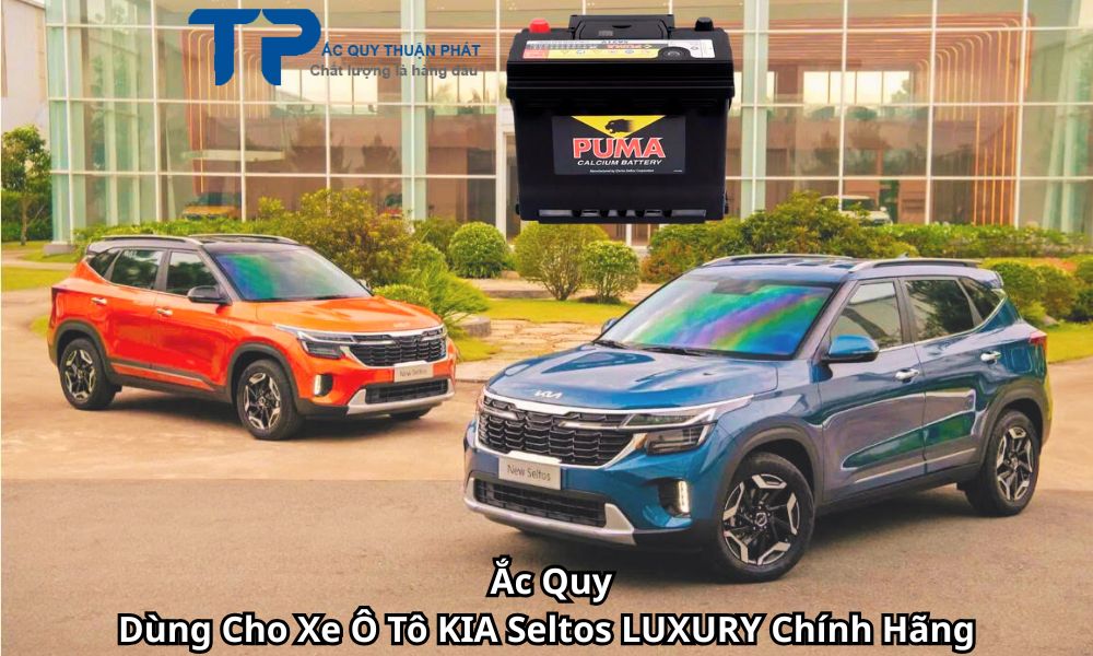 Ắc Quy Dùng Cho Xe Ô Tô KIA Seltos LUXURY Chính Hãng