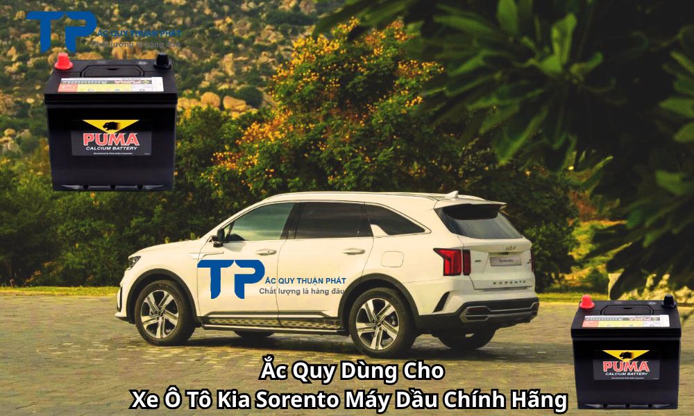 Ắc Quy Dùng Cho Xe Ô Tô Kia Sorento Máy Dầu Chính Hãng