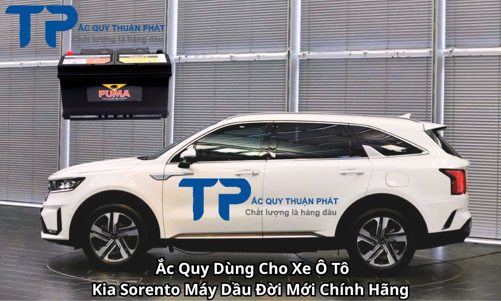 Ắc Quy Dùng Cho Xe Ô Tô Kia Sorento Máy Dầu Đời Mới Chính Hãng