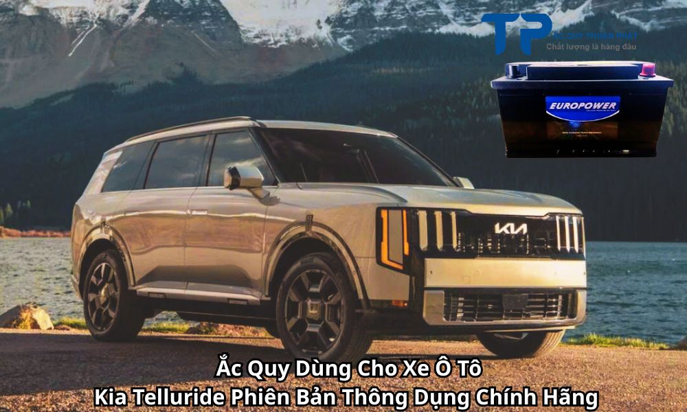 Ắc Quy Dùng Cho Xe Ô Tô Kia Telluride Phiên Bản Thông Dụng Chính Hãng
