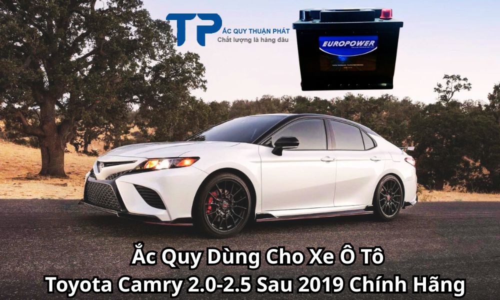 Ắc Quy Dùng Cho Xe Ô Tô Toyota Camry 2.0-2.5 Sau 2019 Chính Hãng