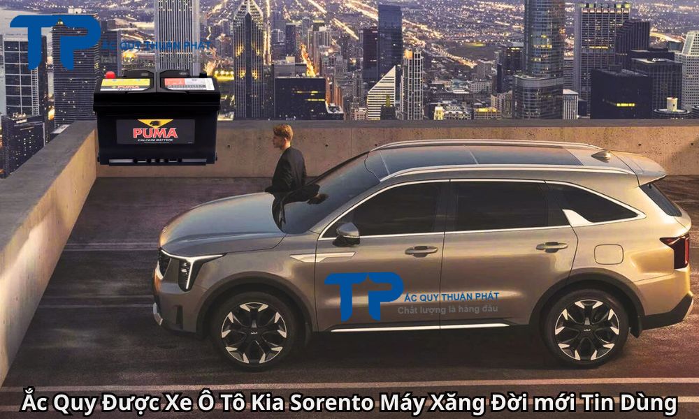 Ắc Quy Được Xe Ô Tô Kia Sorento Máy Xăng Đời mới Tin Dùng
