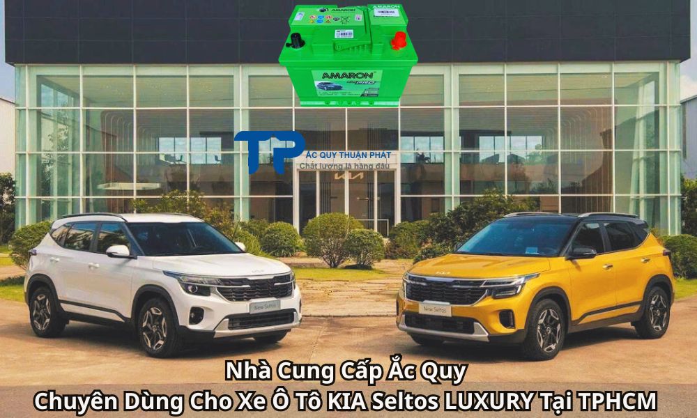 Nhà Cung Cấp Ắc Quy Chuyên Dùng Cho Xe Ô Tô KIA Seltos LUXURY Tại TPHCM