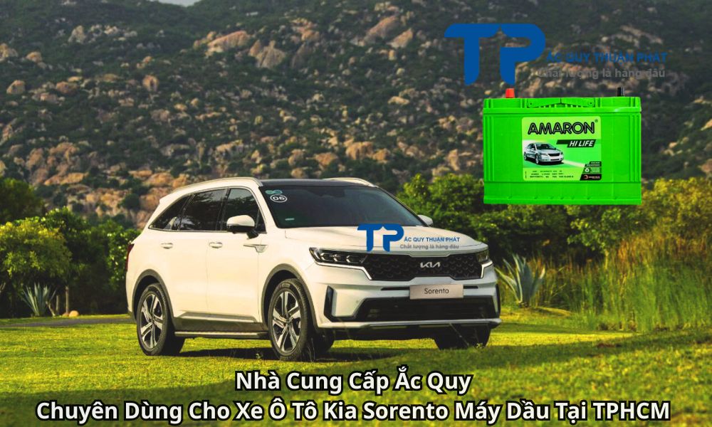 Nhà Cung Cấp Ắc Quy Chuyên Dùng Cho Xe Ô Tô Kia Sorento Máy Dầu Tại TPHCM