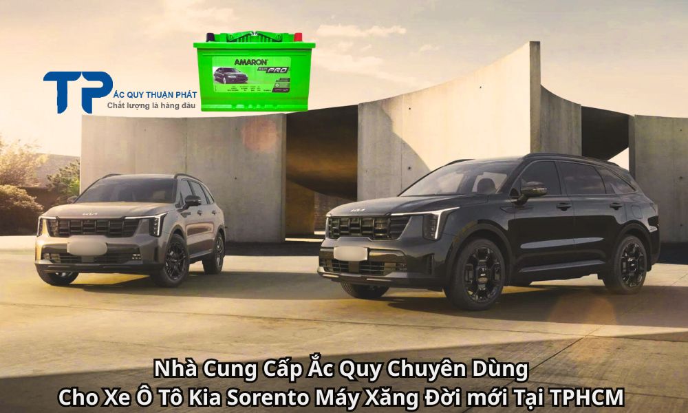 Nhà Cung Cấp Ắc Quy Chuyên Dùng Cho Xe Ô Tô Kia Sorento Máy Xăng Đời mới Tại TPHCM