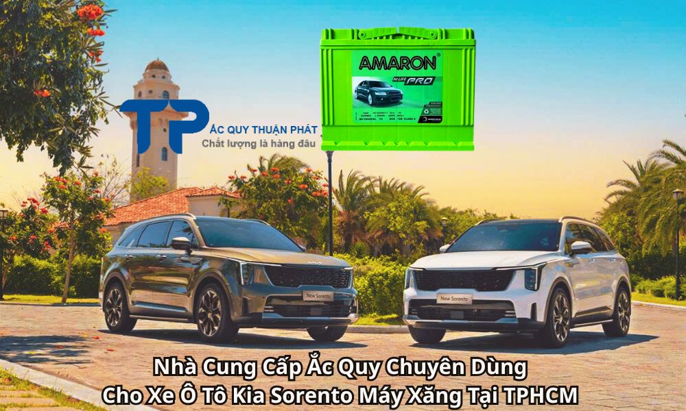 Nhà Cung Cấp Ắc Quy Chuyên Dùng Cho Xe Ô Tô Kia Sorento Máy Xăng Tại TPHCM