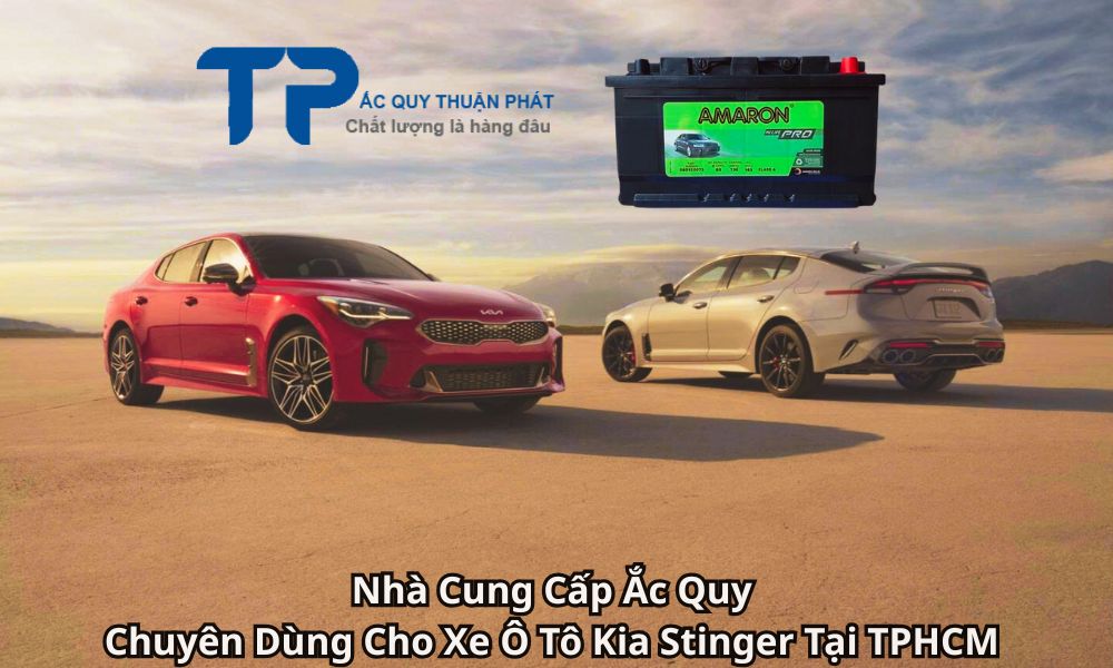 Nhà Cung Cấp Ắc Quy Chuyên Dùng Cho Xe Ô Tô Kia Stinger Tại TPHCM