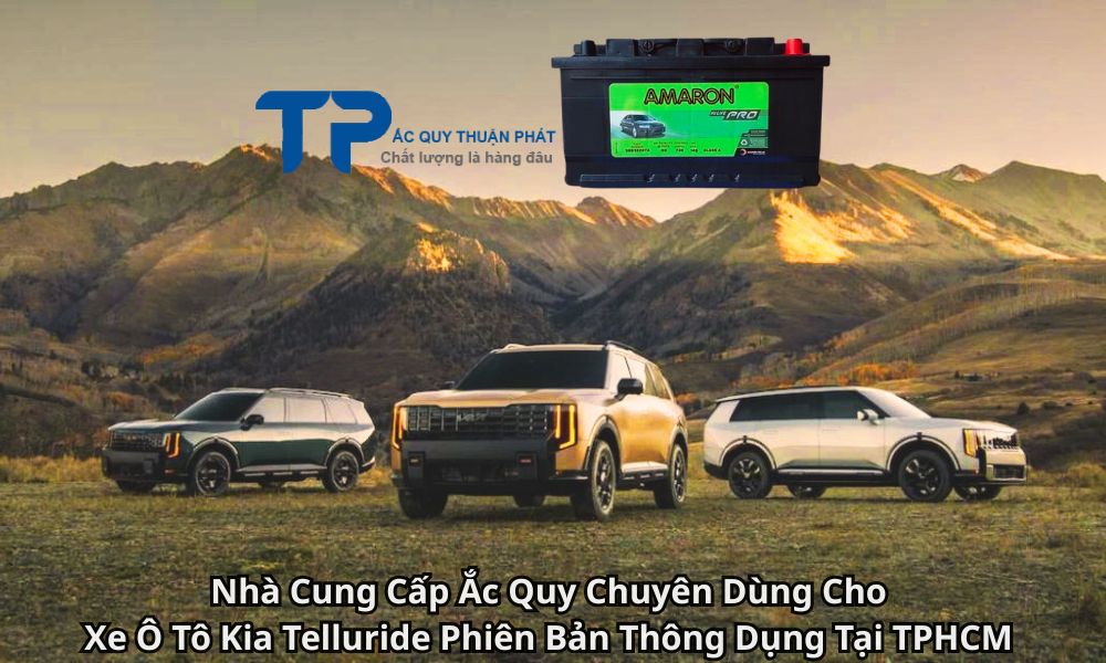 Nhà Cung Cấp Ắc Quy Chuyên Dùng Cho Xe Ô Tô Kia Telluride Phiên Bản Thông Dụng Tại TPHCM