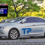 Ắc Quy Chuyên Dùng Cho Xe Ô Tô Hyundai Sonata Y20