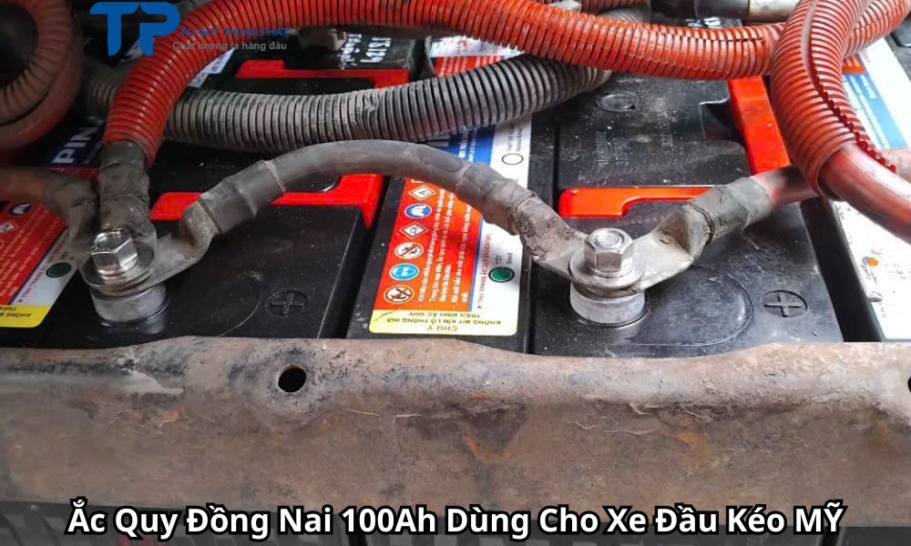 Ắc Quy Đồng Nai 100Ah Dùng Cho Xe Đầu Kéo MỸ