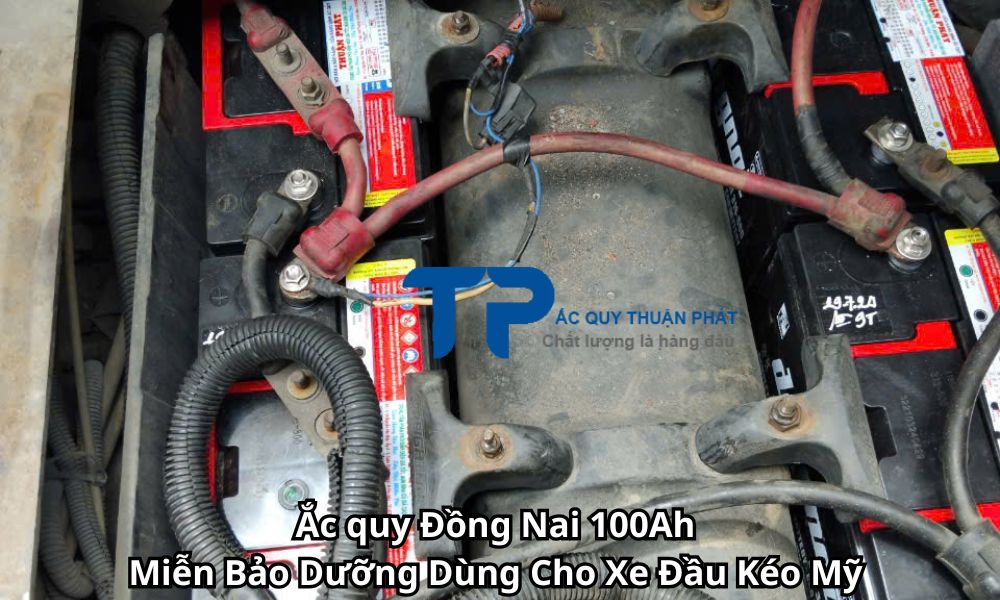 Ắc quy Đồng Nai 100Ah Miễn Bảo Dưỡng Dùng Cho Xe Đầu Kéo Mỹ