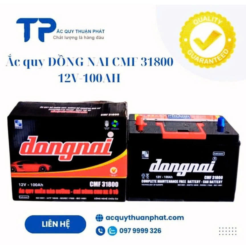 Ắc Quy Đồng Nai CMF 31800 12V- 100Ah Chính Hãng