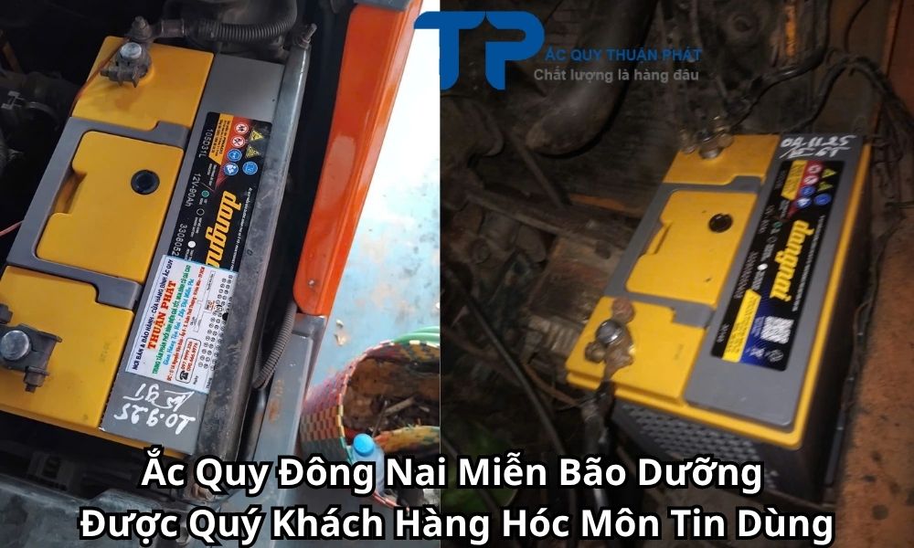 Ắc Quy Đông Nai Miễn Bão Dưỡng Được Quý Khách Hàng Hóc Môn Tin Dùng