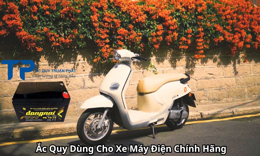 Ắc Quy Dùng Cho Xe Máy Điện Chính Hãng