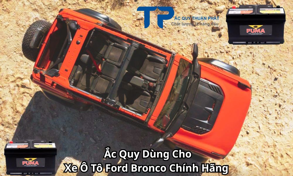Ắc Quy Dùng Cho Xe Ô Tô Ford Bronco Chính Hãng