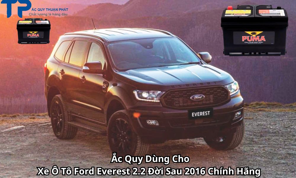 Ắc Quy Dùng Cho Xe Ô Tô Ford Everest 2.2 Đời Sau 2016 Chính Hãng