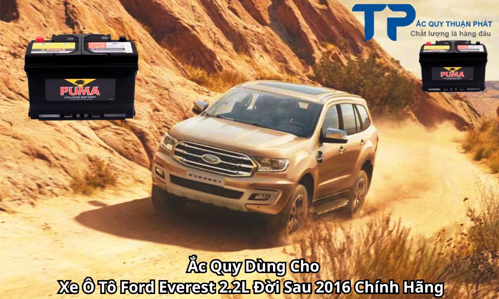 Ắc Quy Dùng Cho Xe Ô Tô Ford Everest 2.2L Đời Sau 2016 Chính Hãng