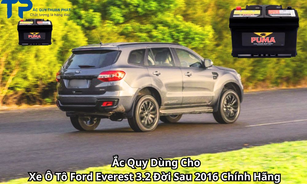 Ắc Quy Dùng Cho Xe Ô Tô Ford Everest 3.2 Đời Sau 2016 Chính Hãng