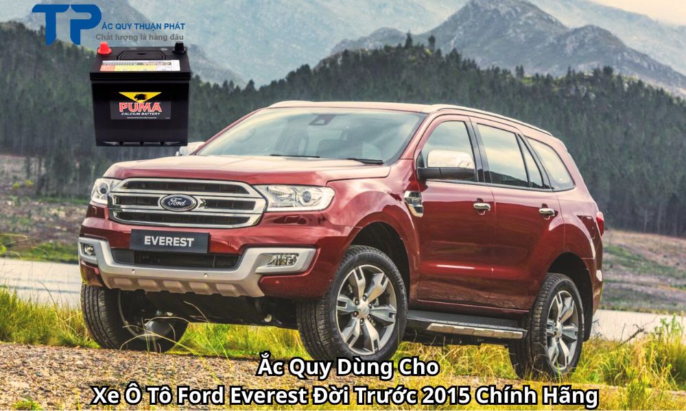 Ắc Quy Dùng Cho Xe Ô Tô Ford Everest Đời Trước 2015 Chính Hãng