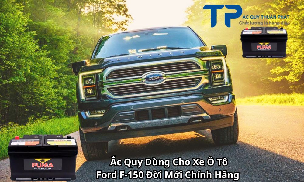 Ắc Quy Dùng Cho Xe Ô Tô Ford F-150 Đời Mới Chính Hãng