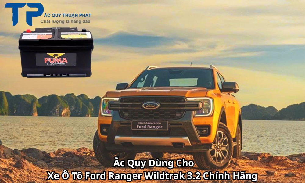 Ắc Quy Dùng Cho Xe Ô Tô Ford Ranger Wildtrak 3.2 Chính Hãng