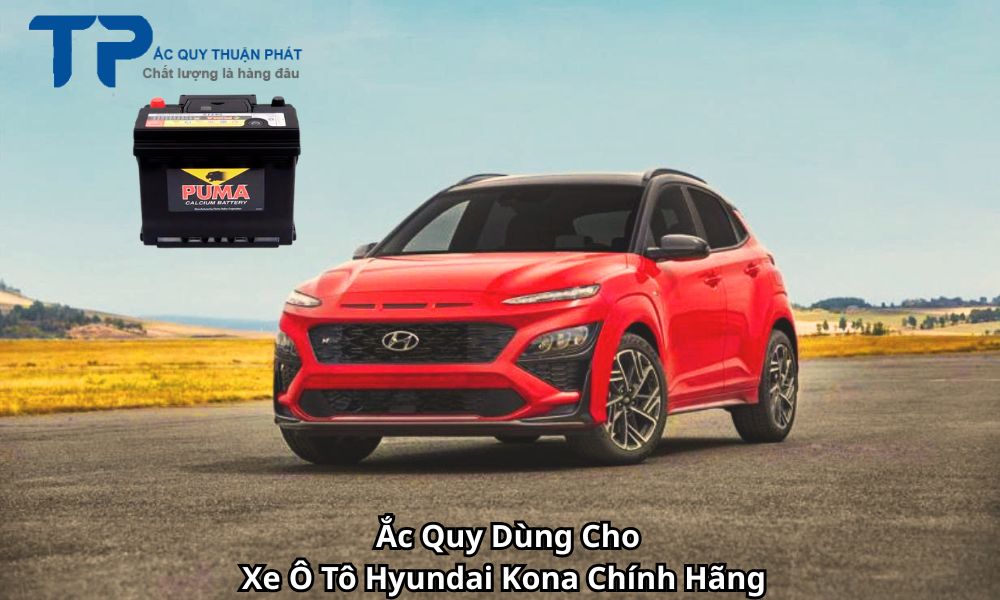 Ắc Quy Dùng Cho Xe Ô Tô Hyundai Kona Chính Hãng