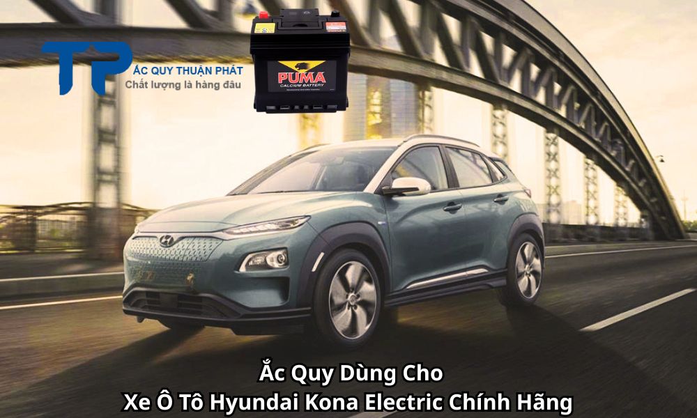 Ắc Quy Dùng Cho Xe Ô Tô Hyundai Kona Electric Chính Hãng