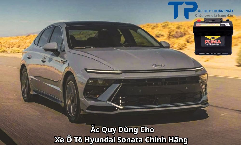 Ắc Quy Dùng Cho Xe Ô Tô Hyundai Sonata Chính Hãng