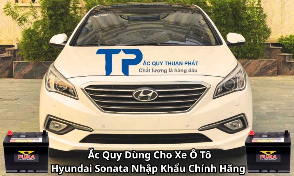 Ắc Quy Dùng Cho Xe Ô Tô Hyundai Sonata Nhập Khẩu Chính Hãng