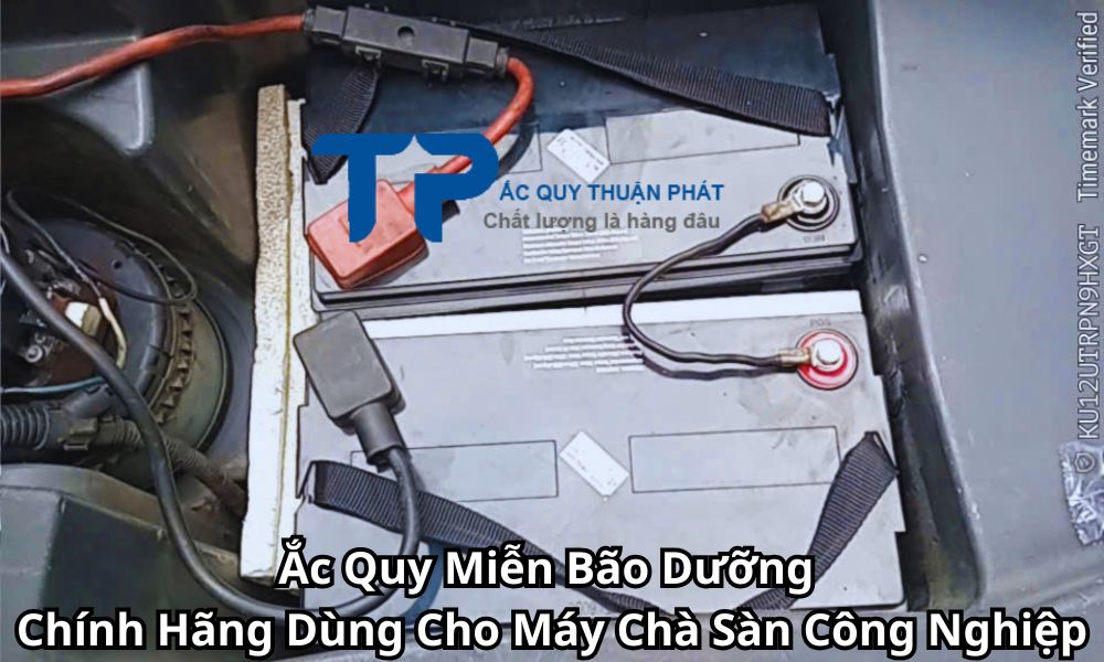 Ắc Quy Miễn Bão Dưỡng Chính Hãng Dùng Cho Máy Chà Sàn Công Nghiệp
