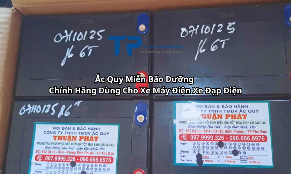 Ắc Quy Miễn Bão Dưỡng Chính Hãng Dùng Cho Xe Máy Điện Xe Đạp Điện