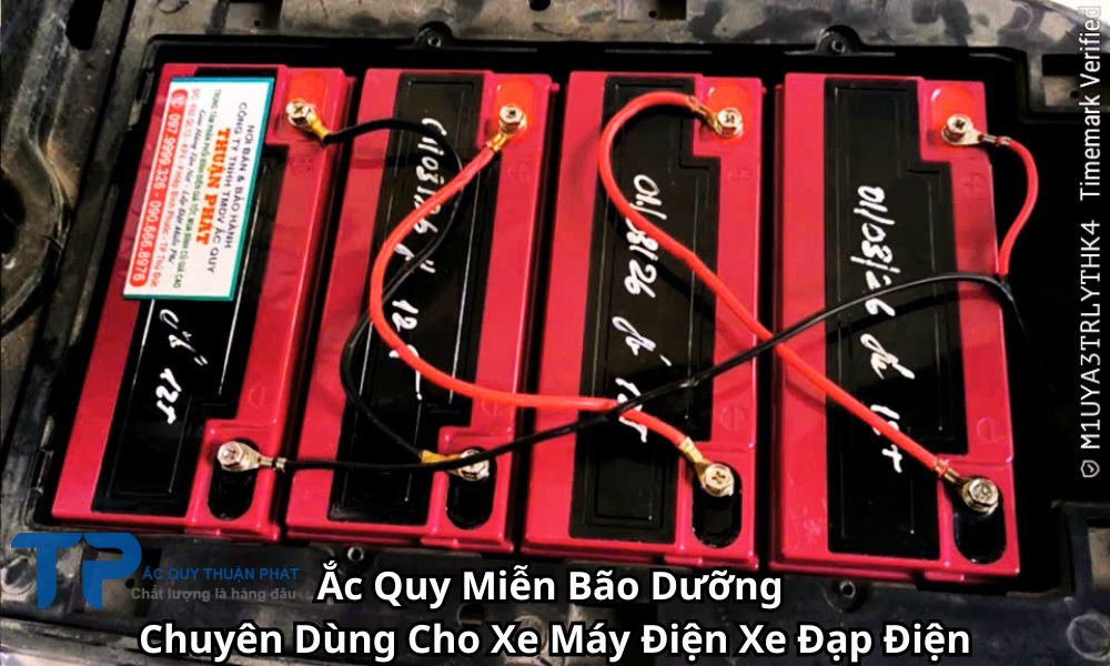 Ắc Quy Miễn Bão Dưỡng Chuyên Dùng Cho Xe Máy Điện Xe Đạp Điện