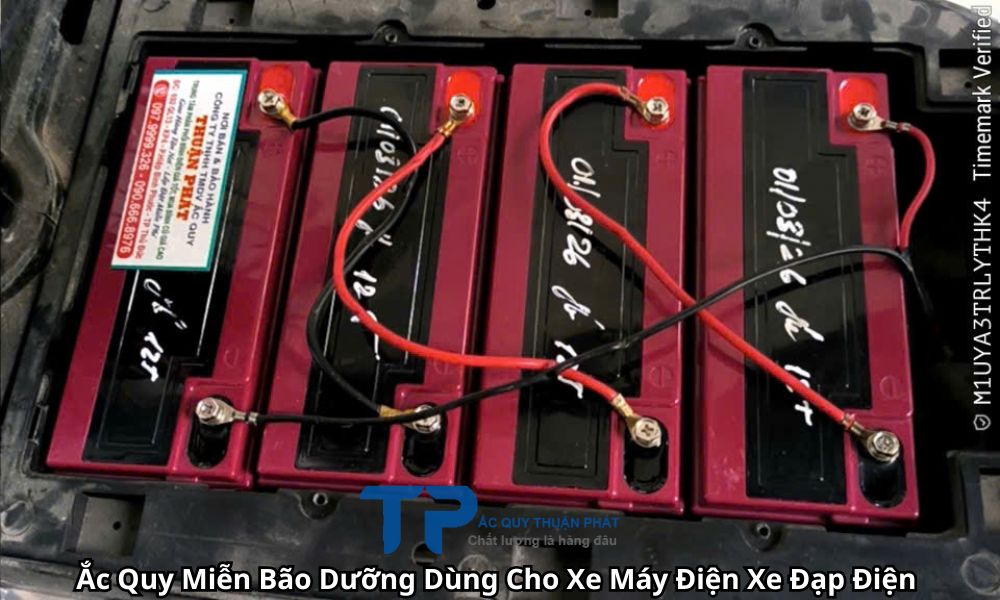 Ắc Quy Miễn Bão Dưỡng Dùng Cho Xe Máy Điện Xe Đạp Điện