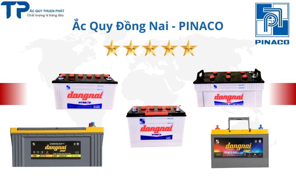 Đại Lý Ắc Quy Đồng Nai Chính Hãng tại TPHCM