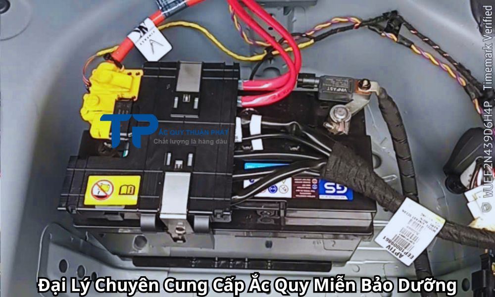 Đại Lý Chuyên Cung Cấp Ắc Quy Miễn Bảo Dưỡng