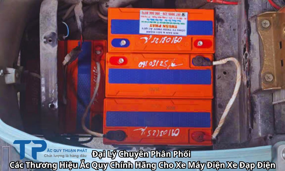Đại Lý Chuyên Phân Phối Các Thương Hiệu Ắc Quy Chính Hãng Cho Xe Máy Điện Xe Đạp Điện